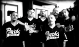 Thepsychorealm-jerseypcb